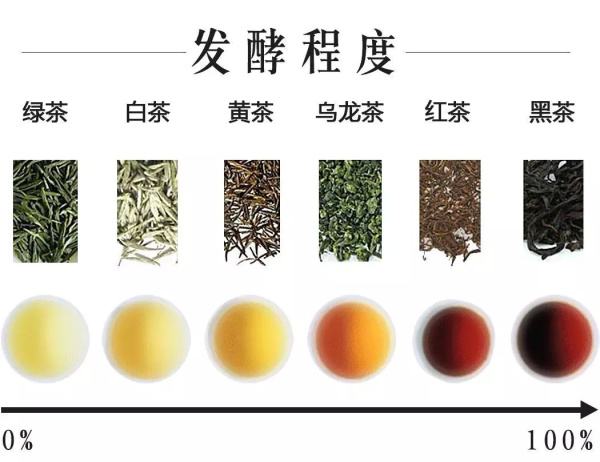 六大基本茶1.jpg
