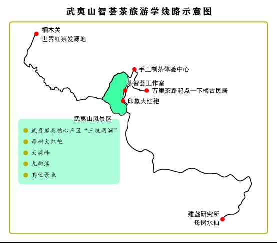 14、武夷山茶智荟685