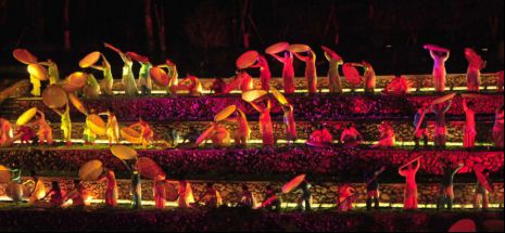 14、武夷山茶智荟2975