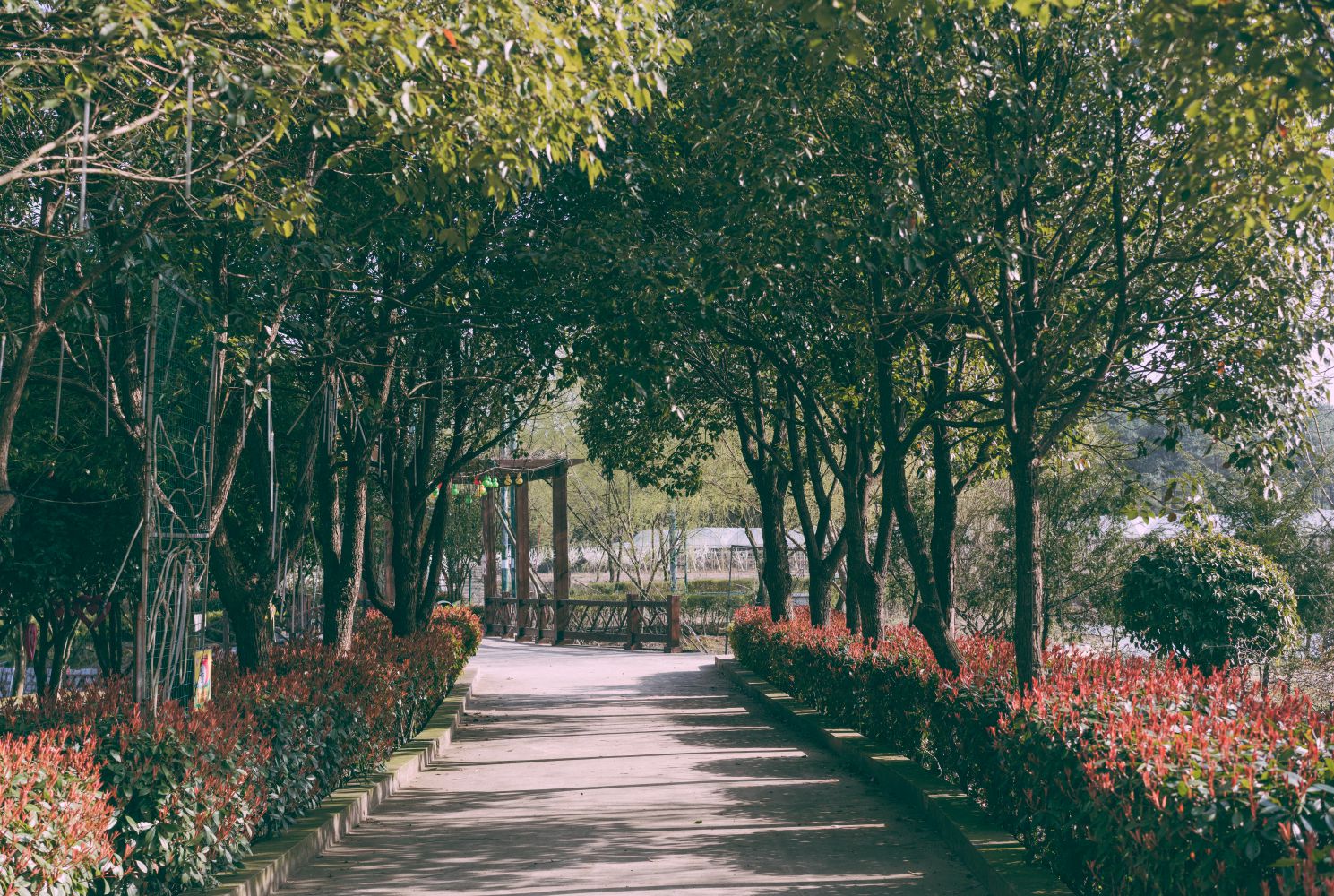 海棠小镇10 (V 冲突版本 05-18 190555)