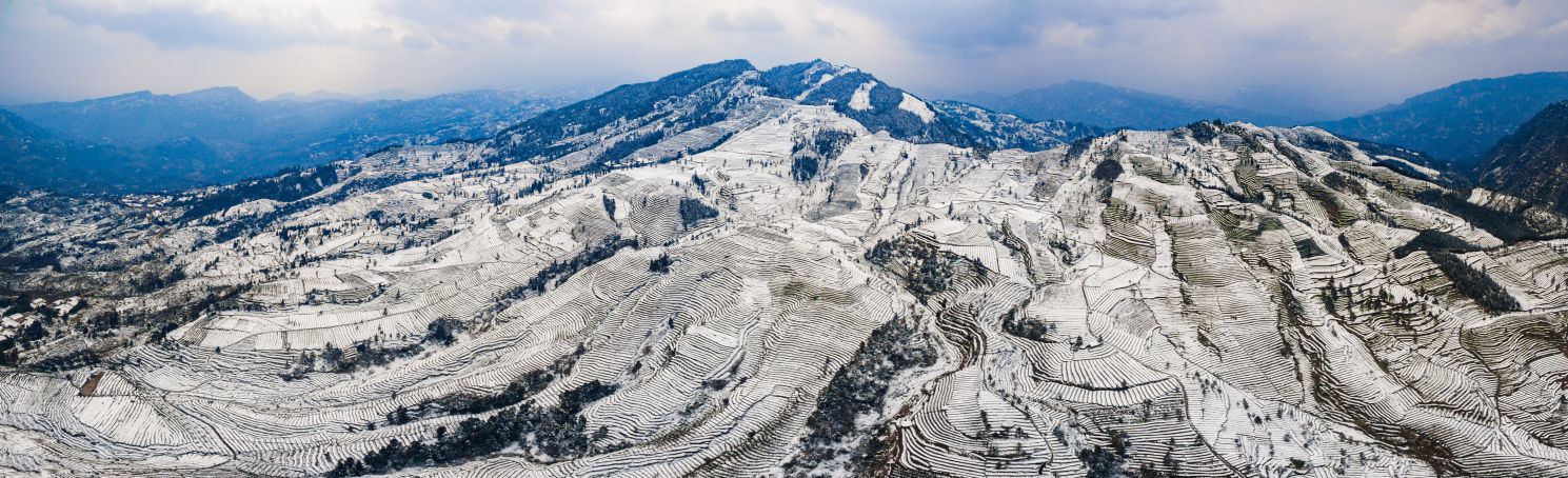 1月峨眉茶园雪景_compressed