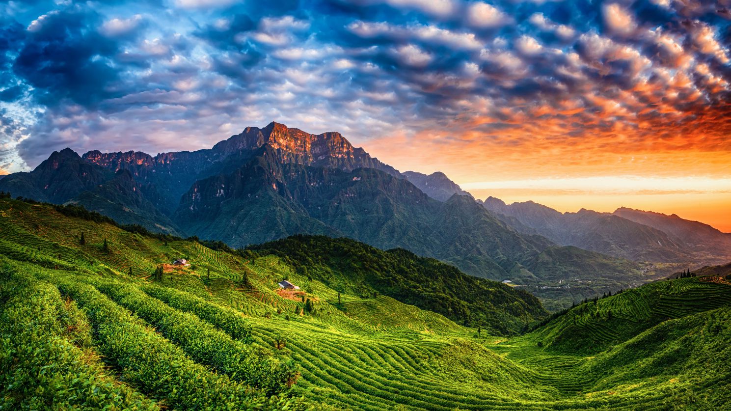 6月南部禅茶康养基地_compressed