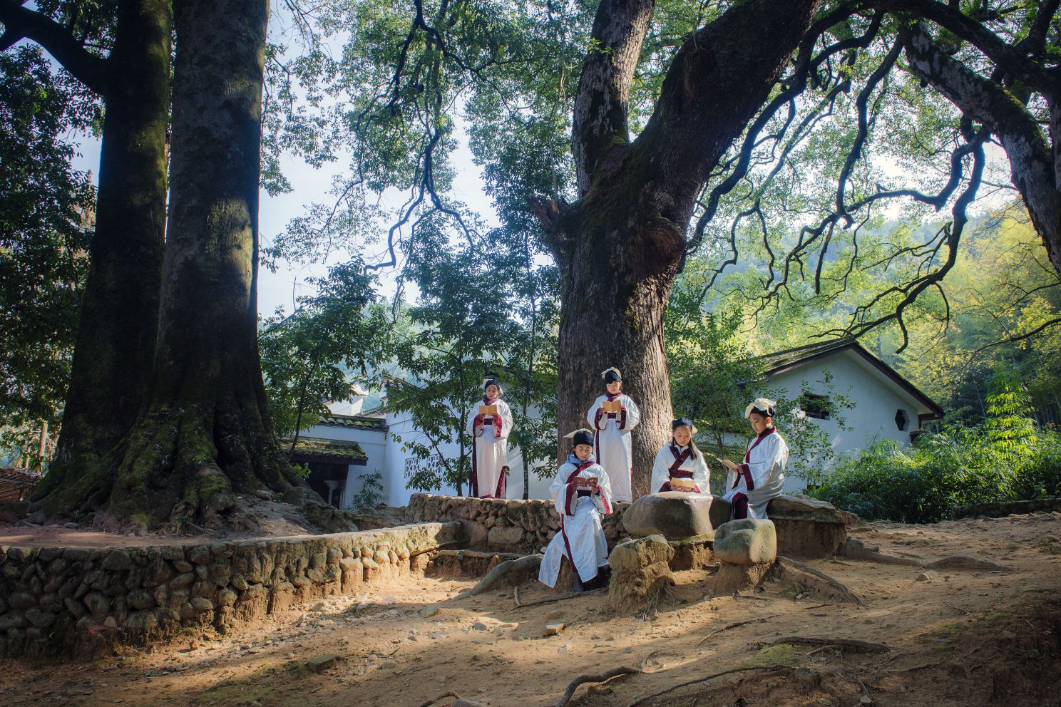 20191125朱子文化