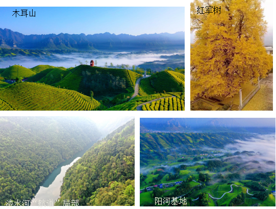 企业简介、线路旅游介绍资料2032