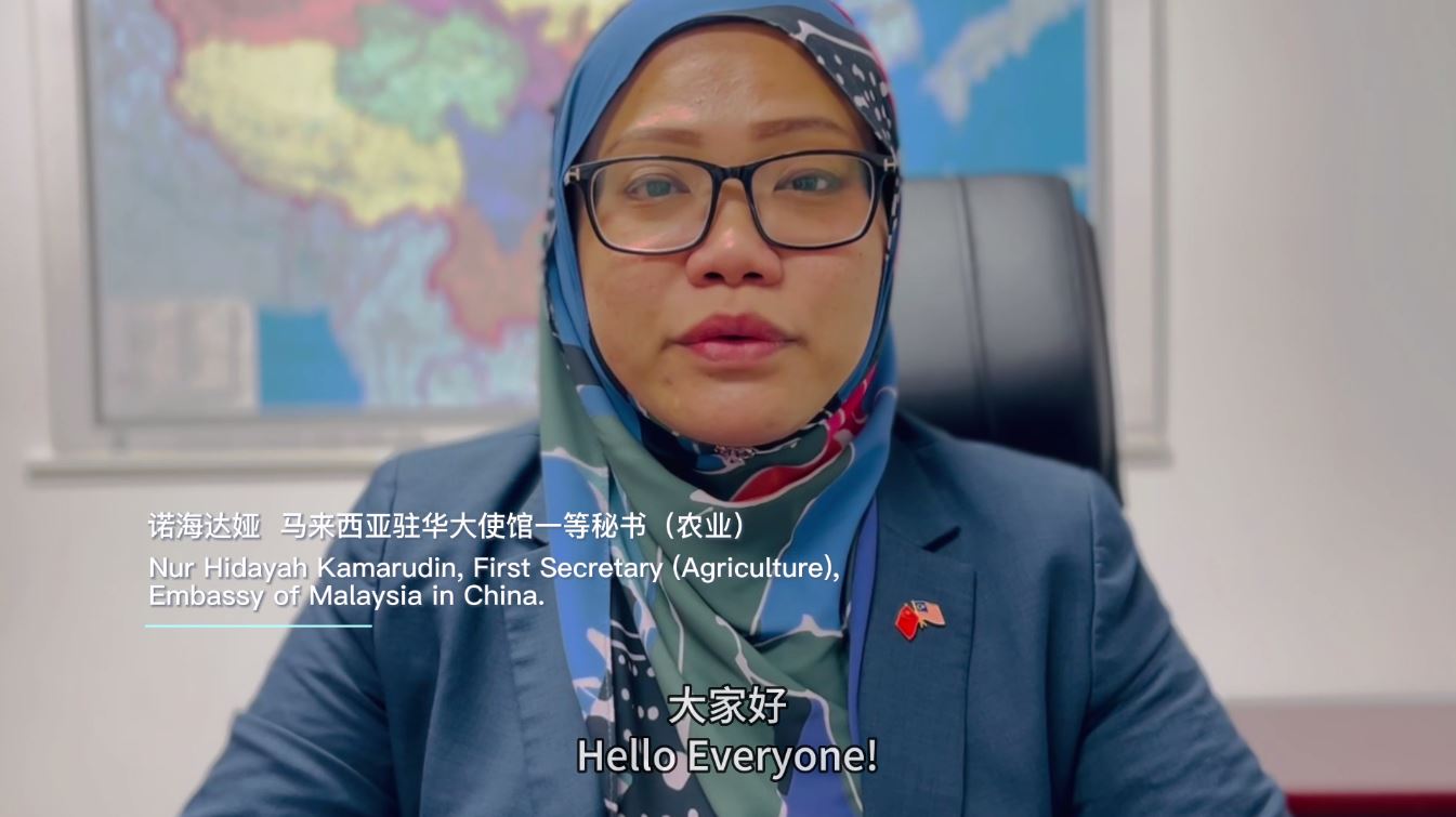 机构设置.jpg